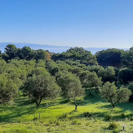 Σπίτι διακοπών Di Fronte Al Mare